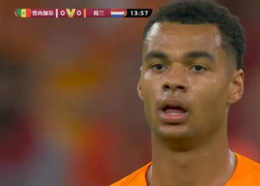 1669364717668056749.jpg 星空体育官网-世界杯球星撞脸!詹皇库兹马兼职 袁弘化身京多安